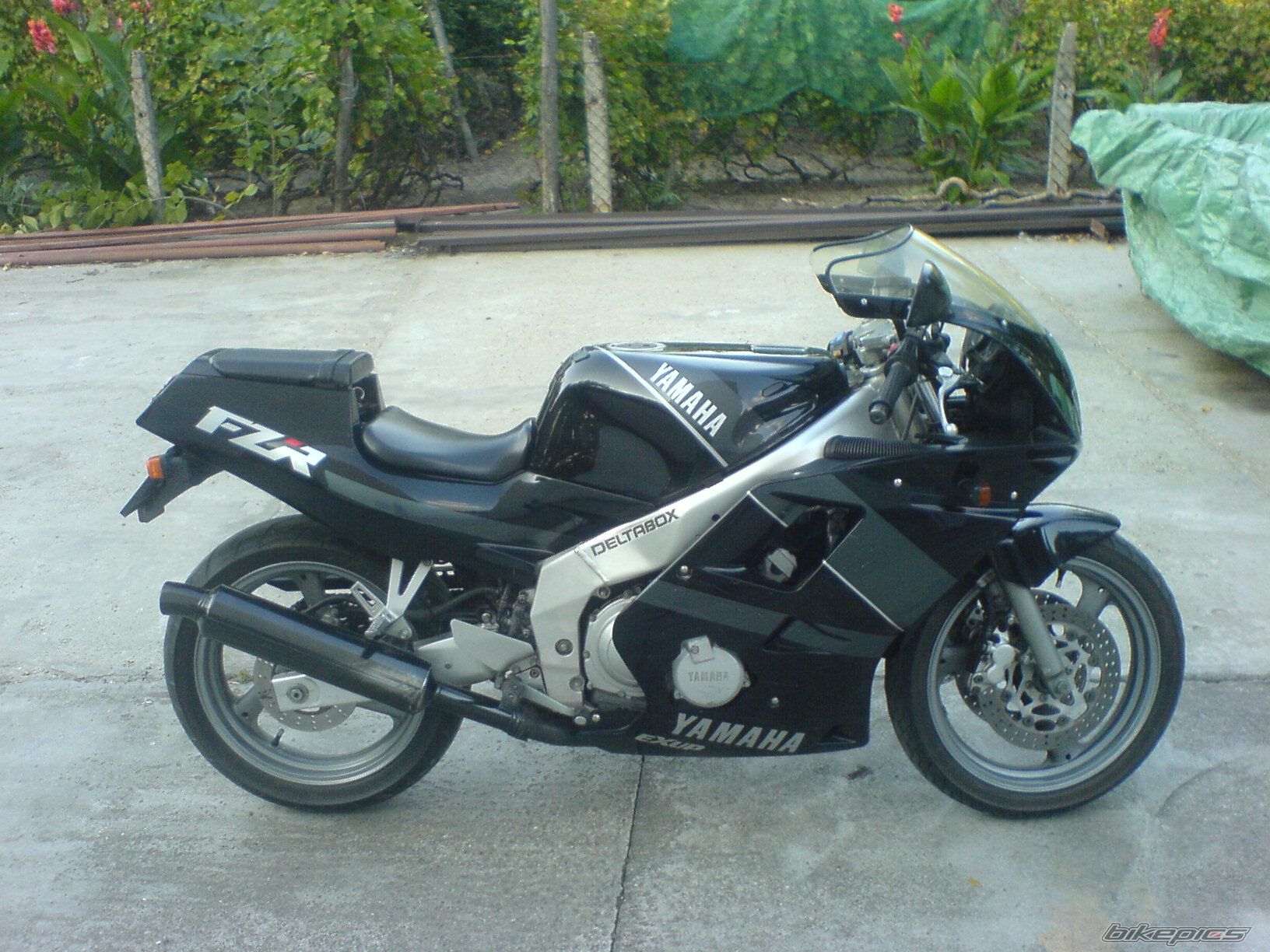 Photo 1136361