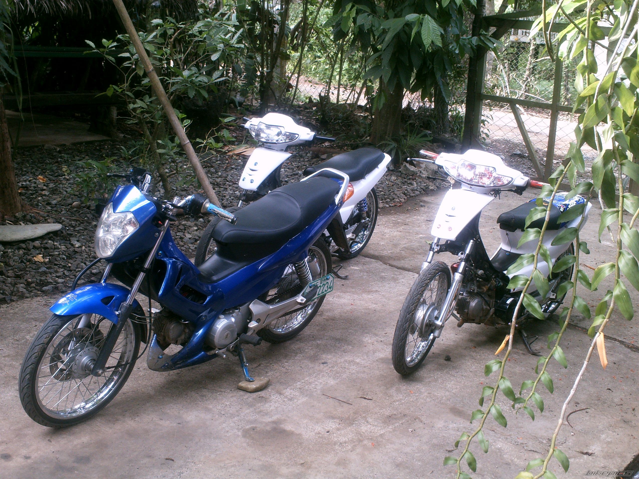 Photo 1136441