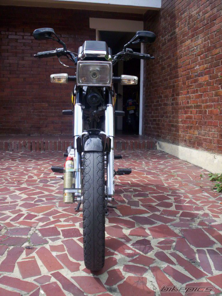 Photo 1136495