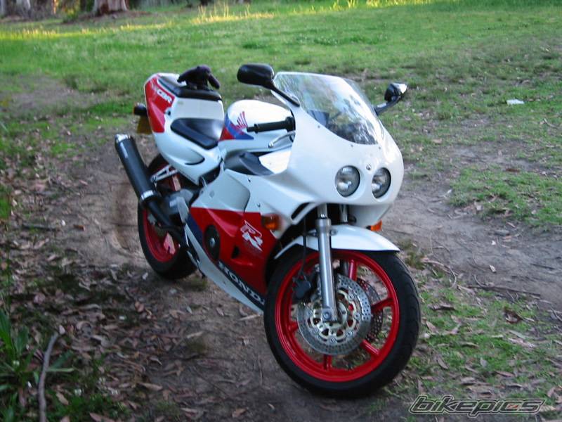 Photo 11367