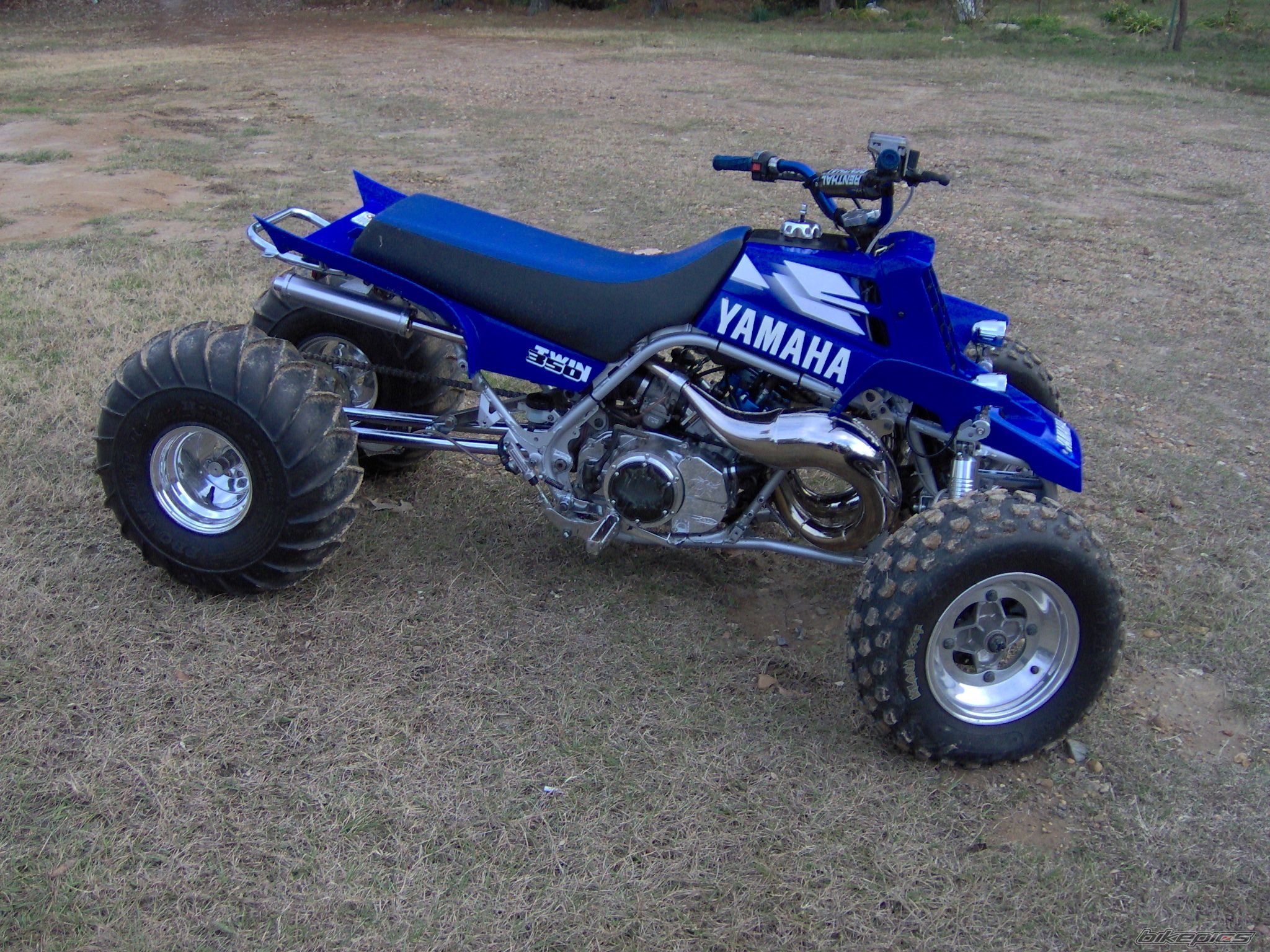 Photo 1136710