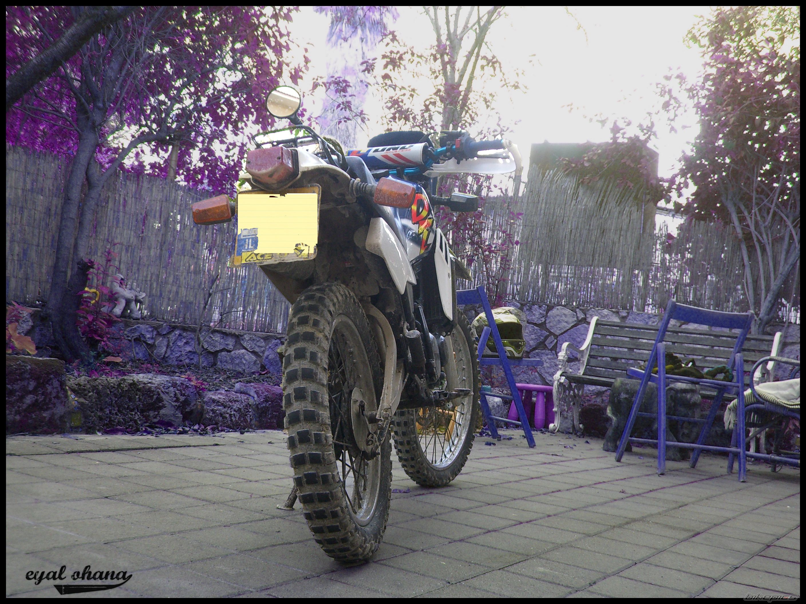 Bike Photo 1136713