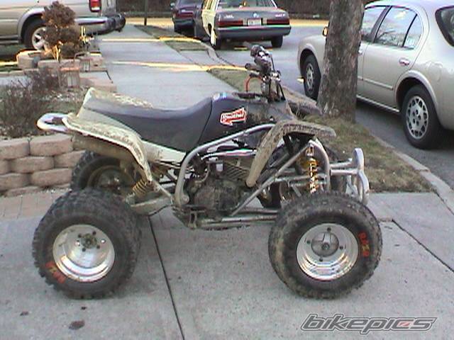 Photo 113686
