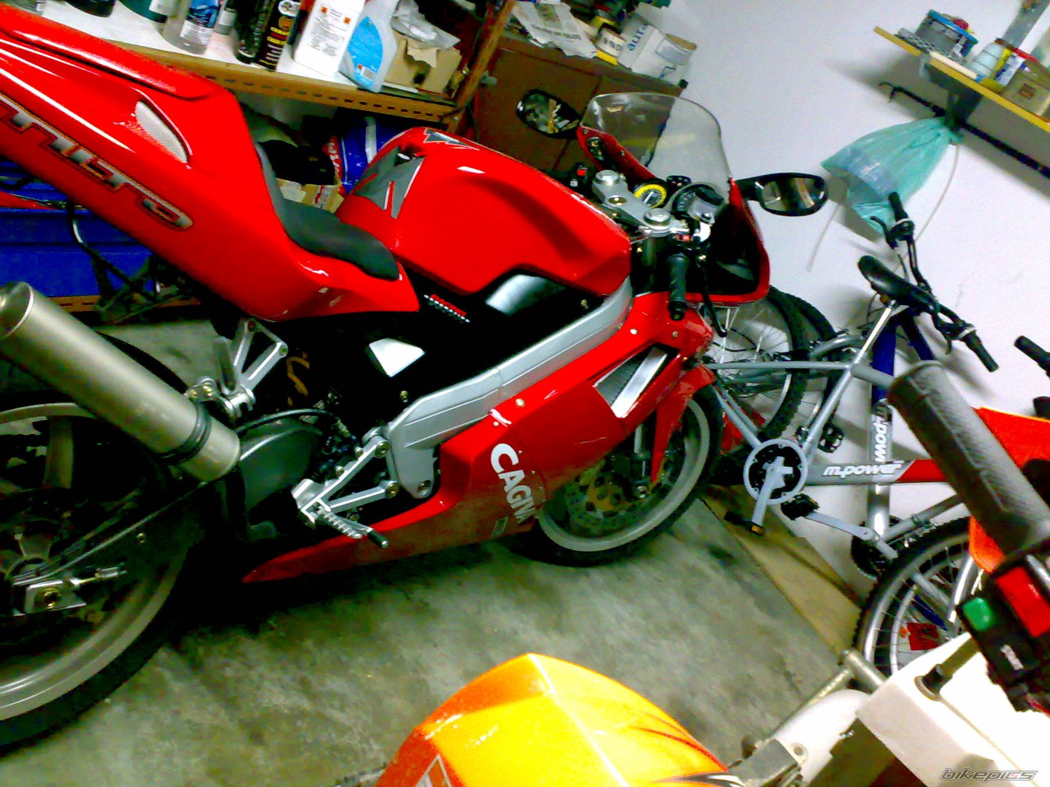 Photo 1136880