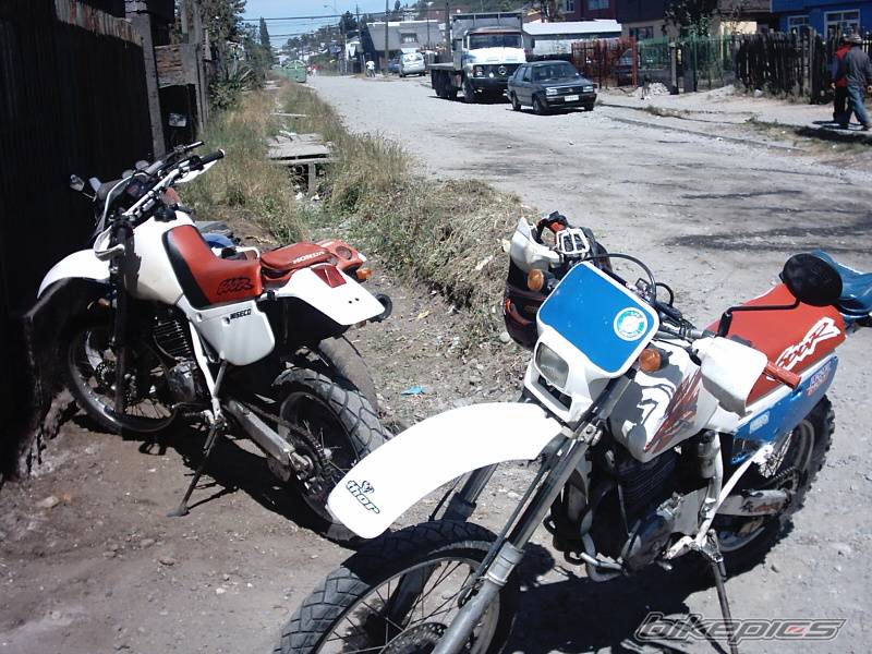 Photo 113692