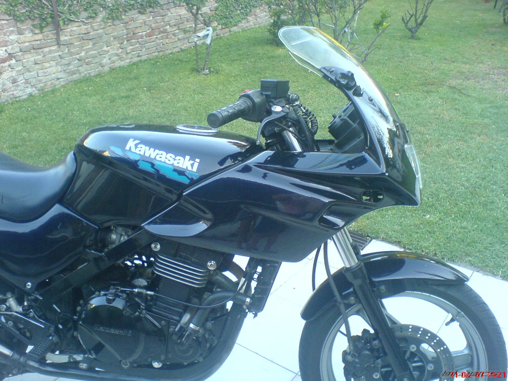 Photo 1137033