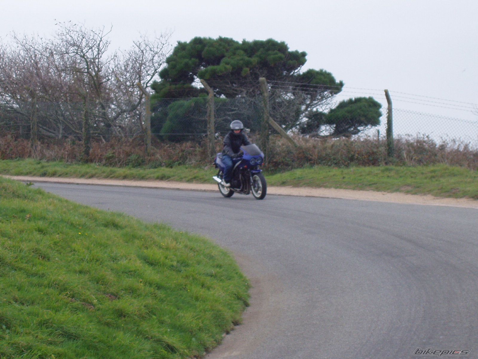 Photo 1137092