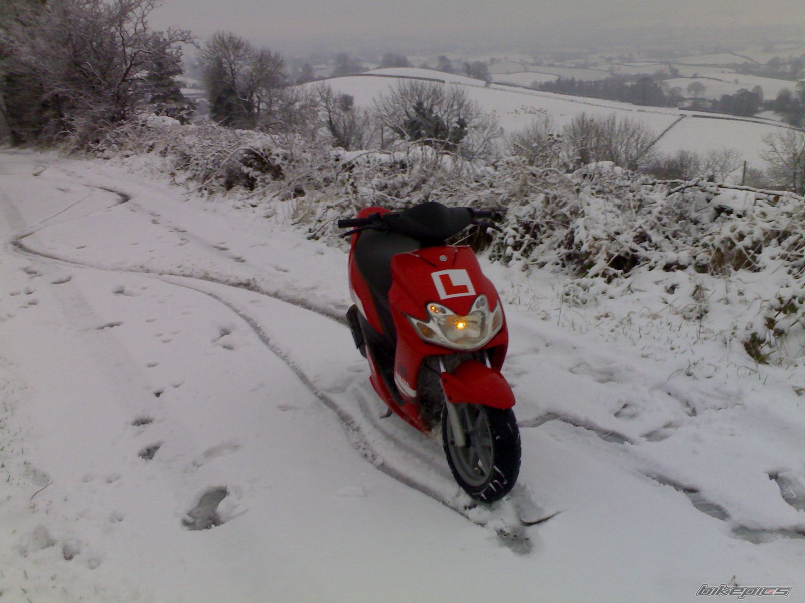Photo 1137096