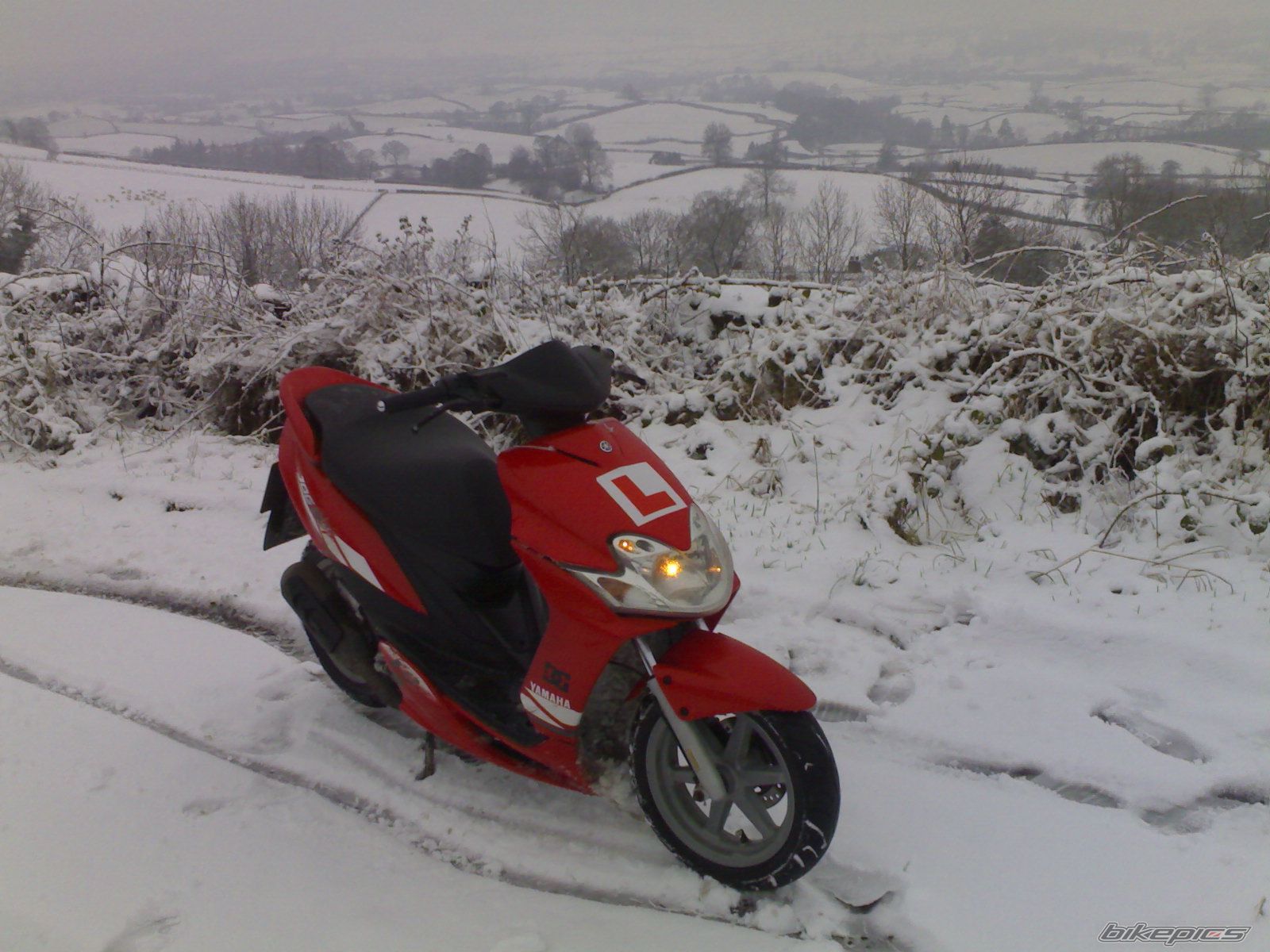 Photo 1137097