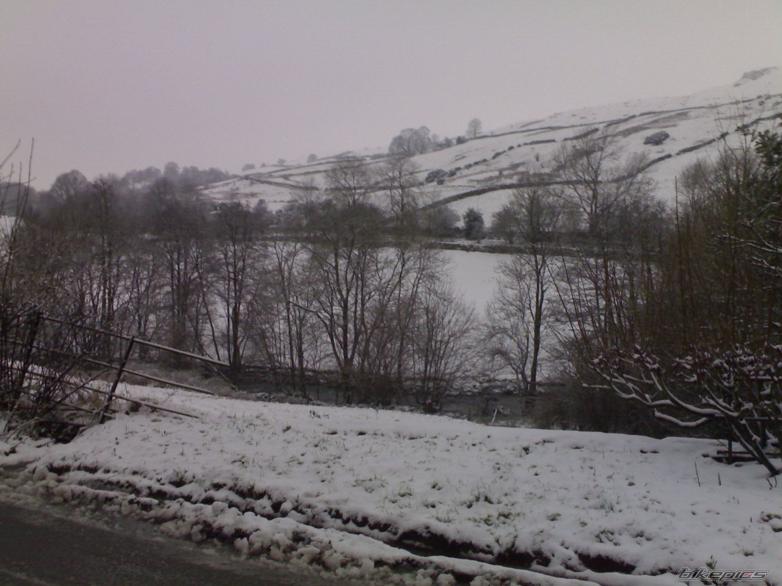 Photo 1137098