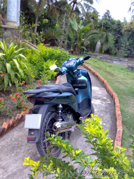 Photo 1137131