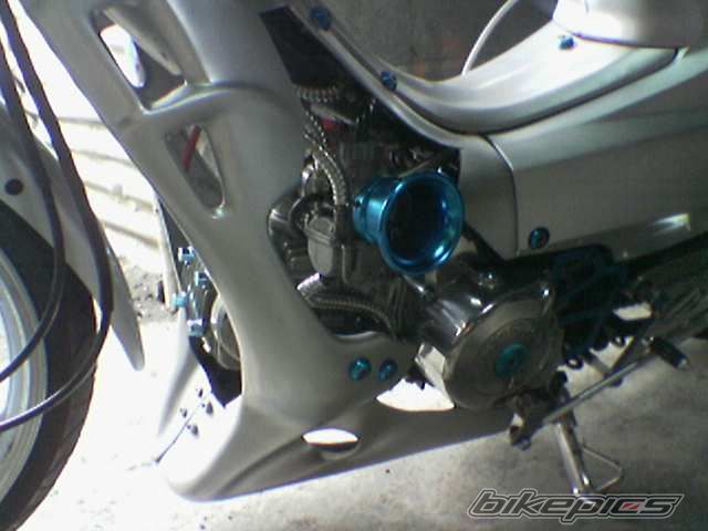 Photo 1137179