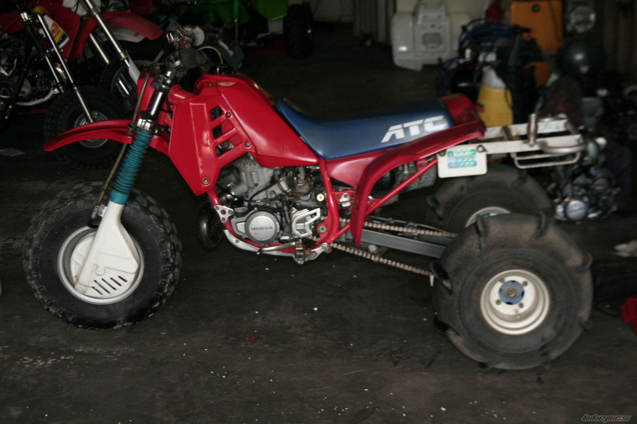 Photo 1137230