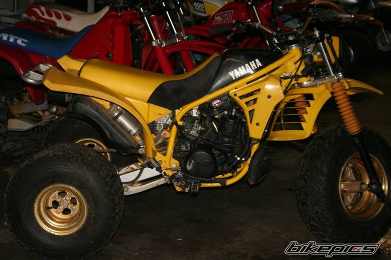 Photo 1137237