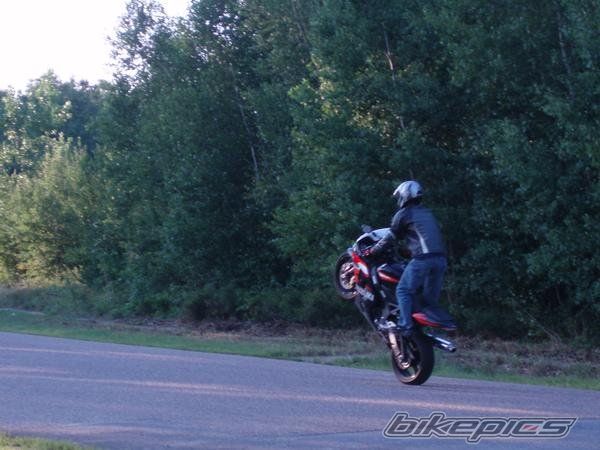Photo 1137251