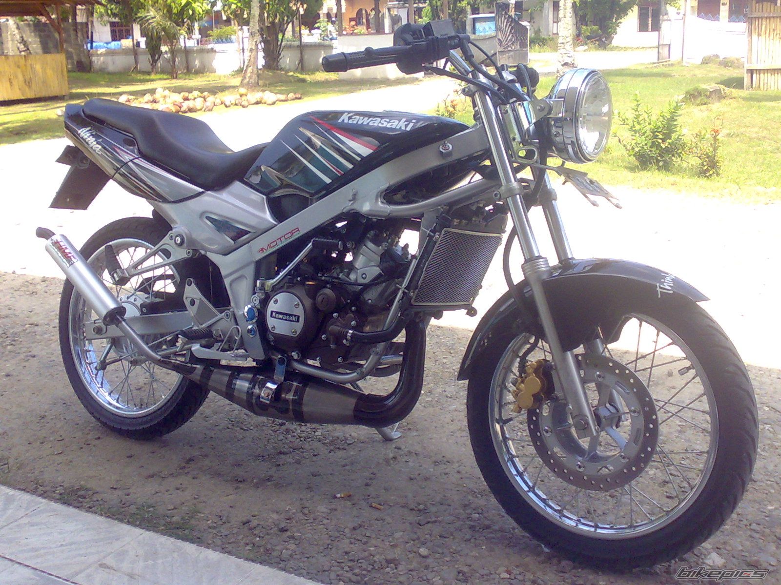 Photo 1137265
