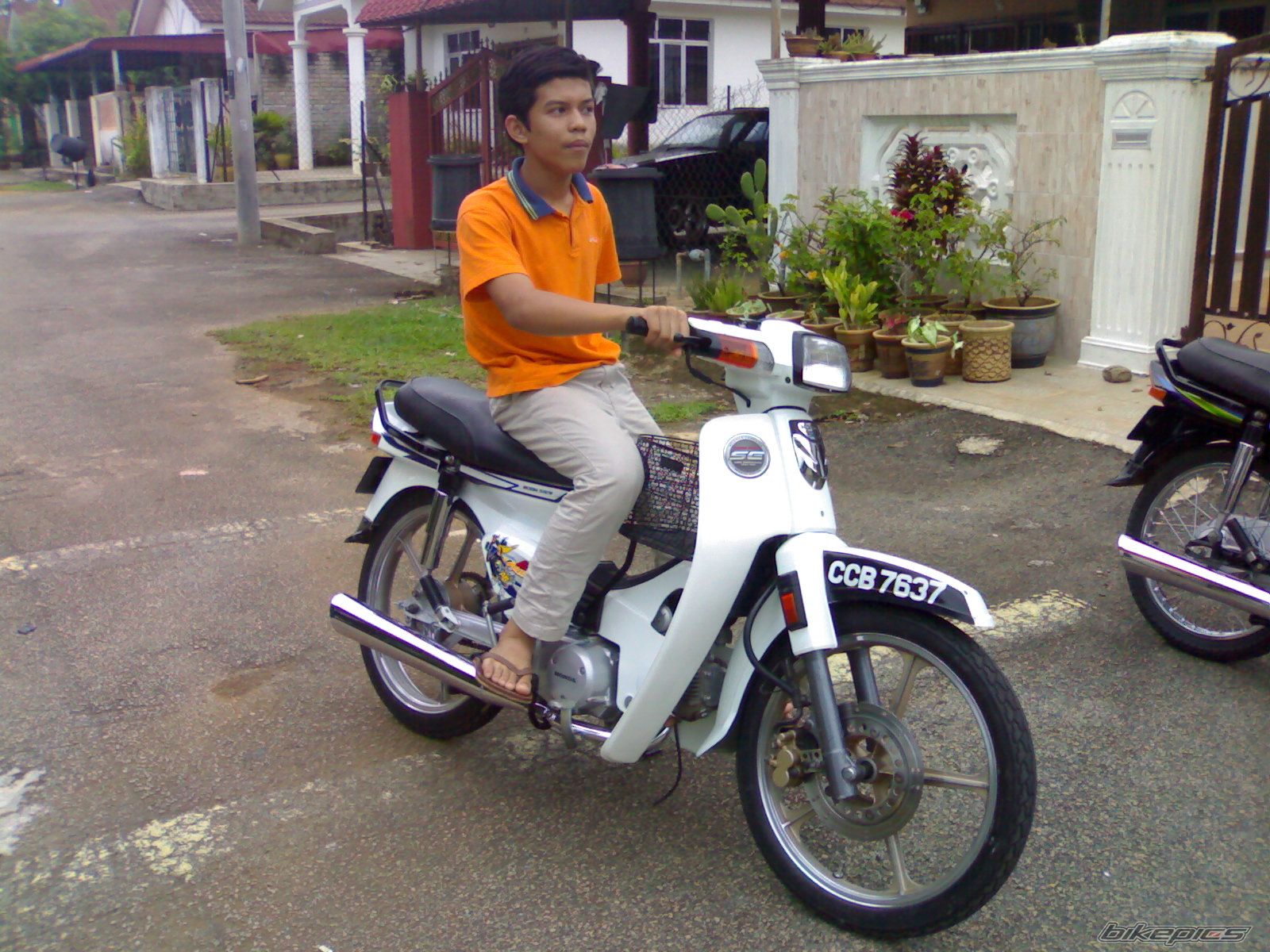 Photo 1137269