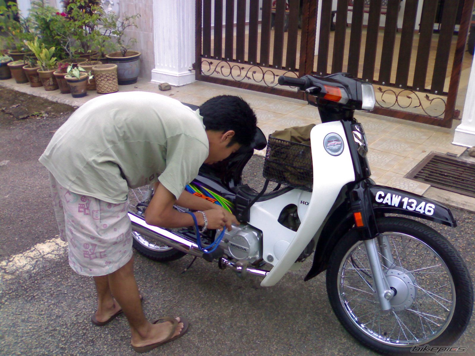 Photo 1137281