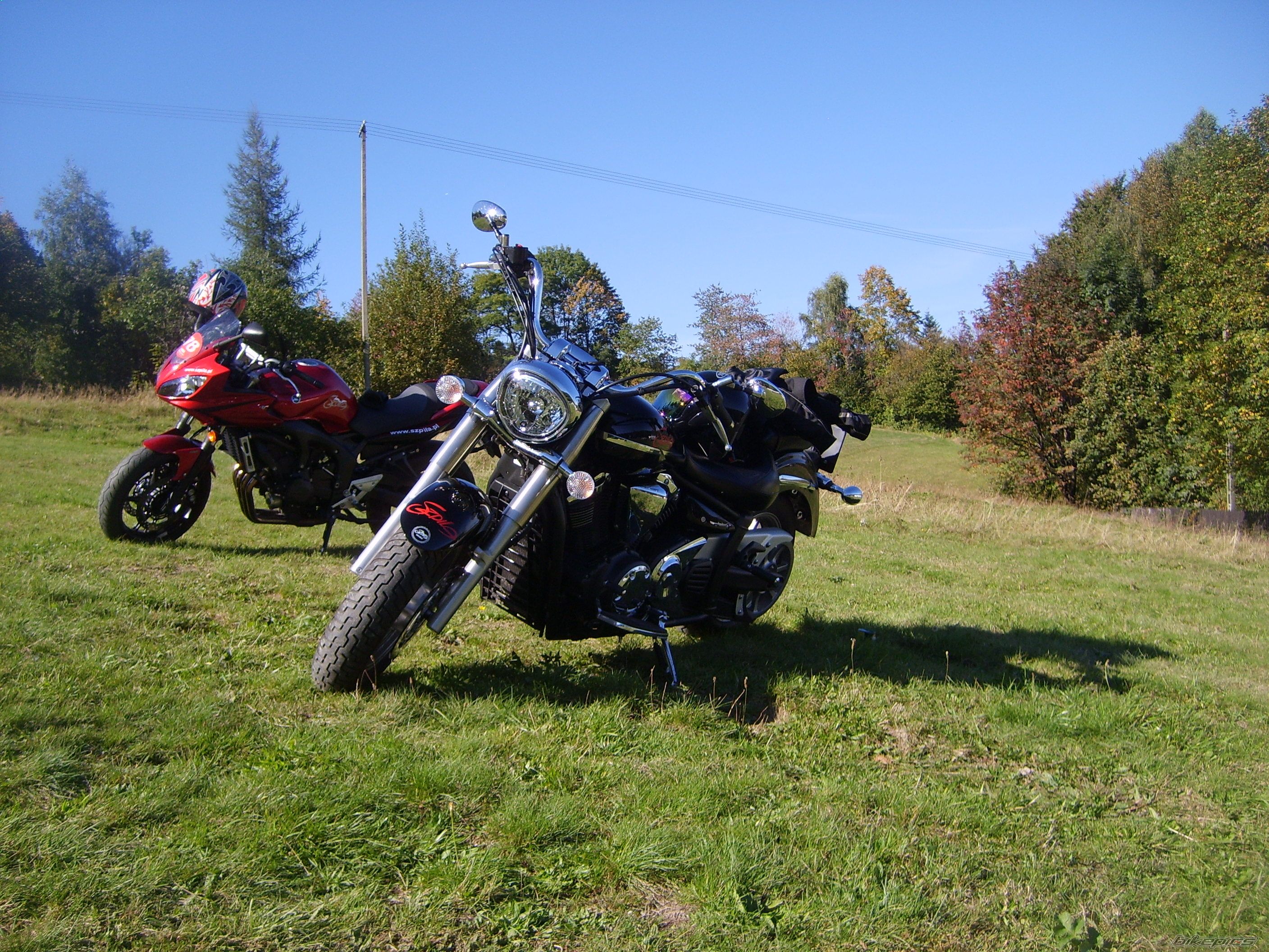 Photo 1137352