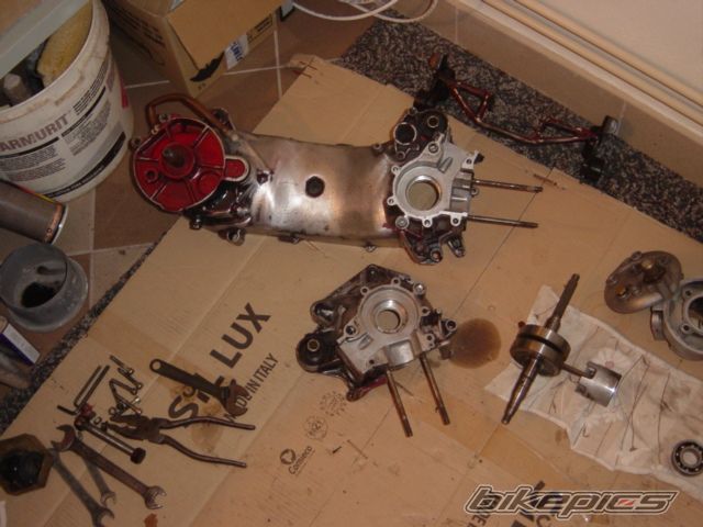 Bike Photo 1137410