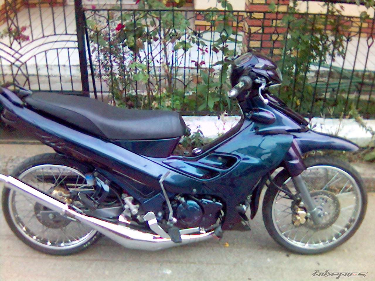 Photo 1137471