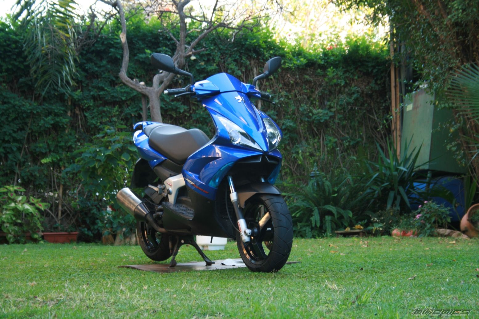 Photo 1137480