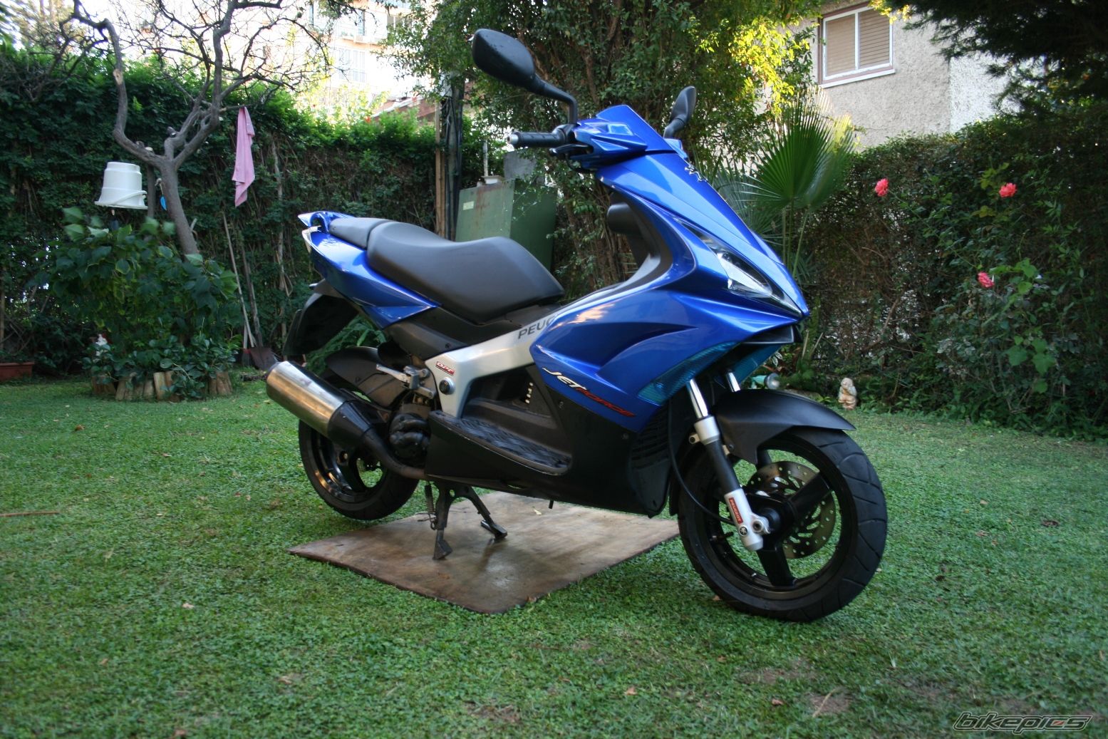Photo 1137486
