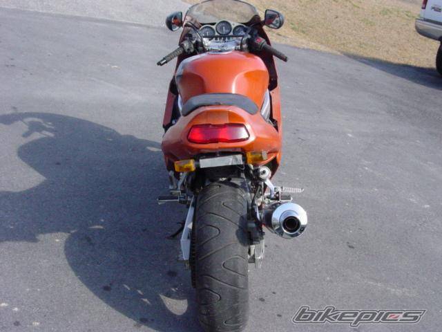 Photo 113751