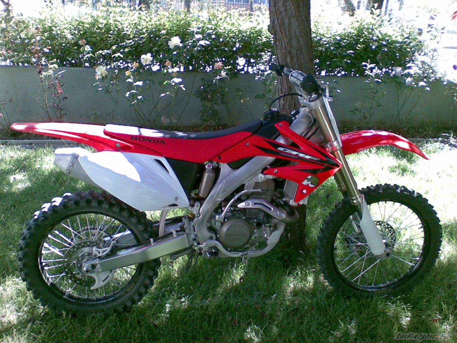 Photo 1137544