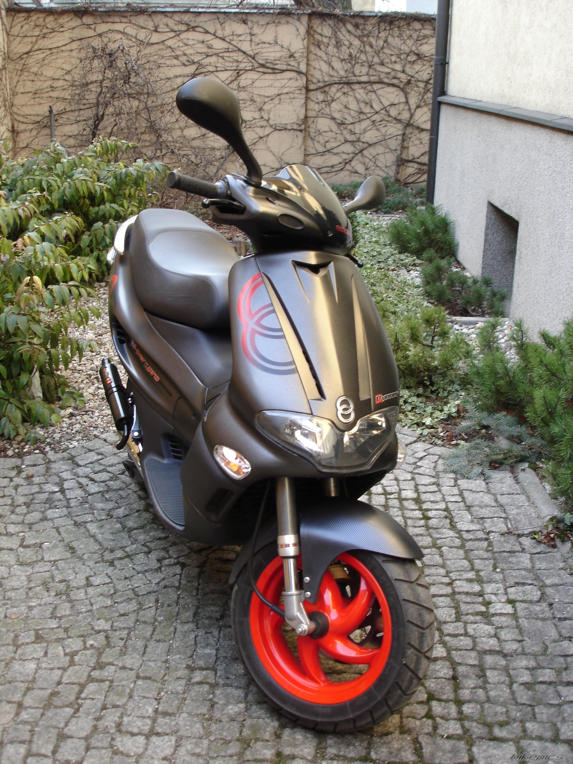 Photo 1137548