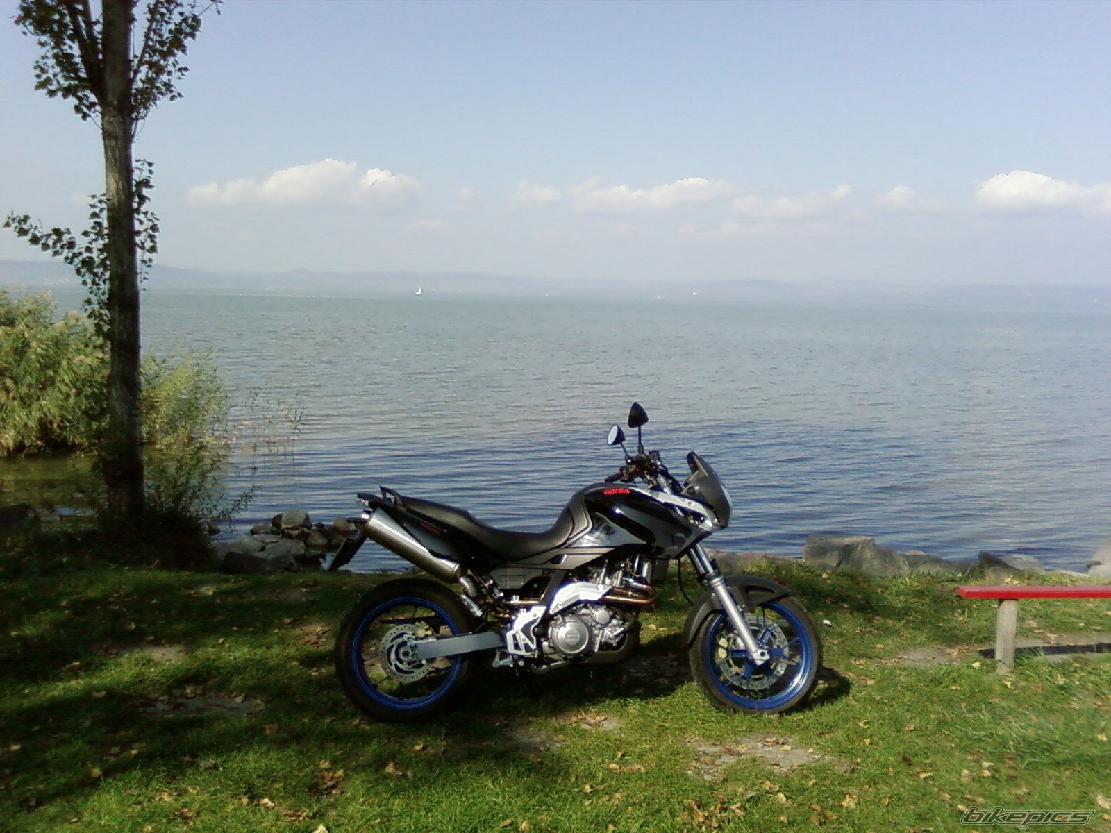 Photo 1137667