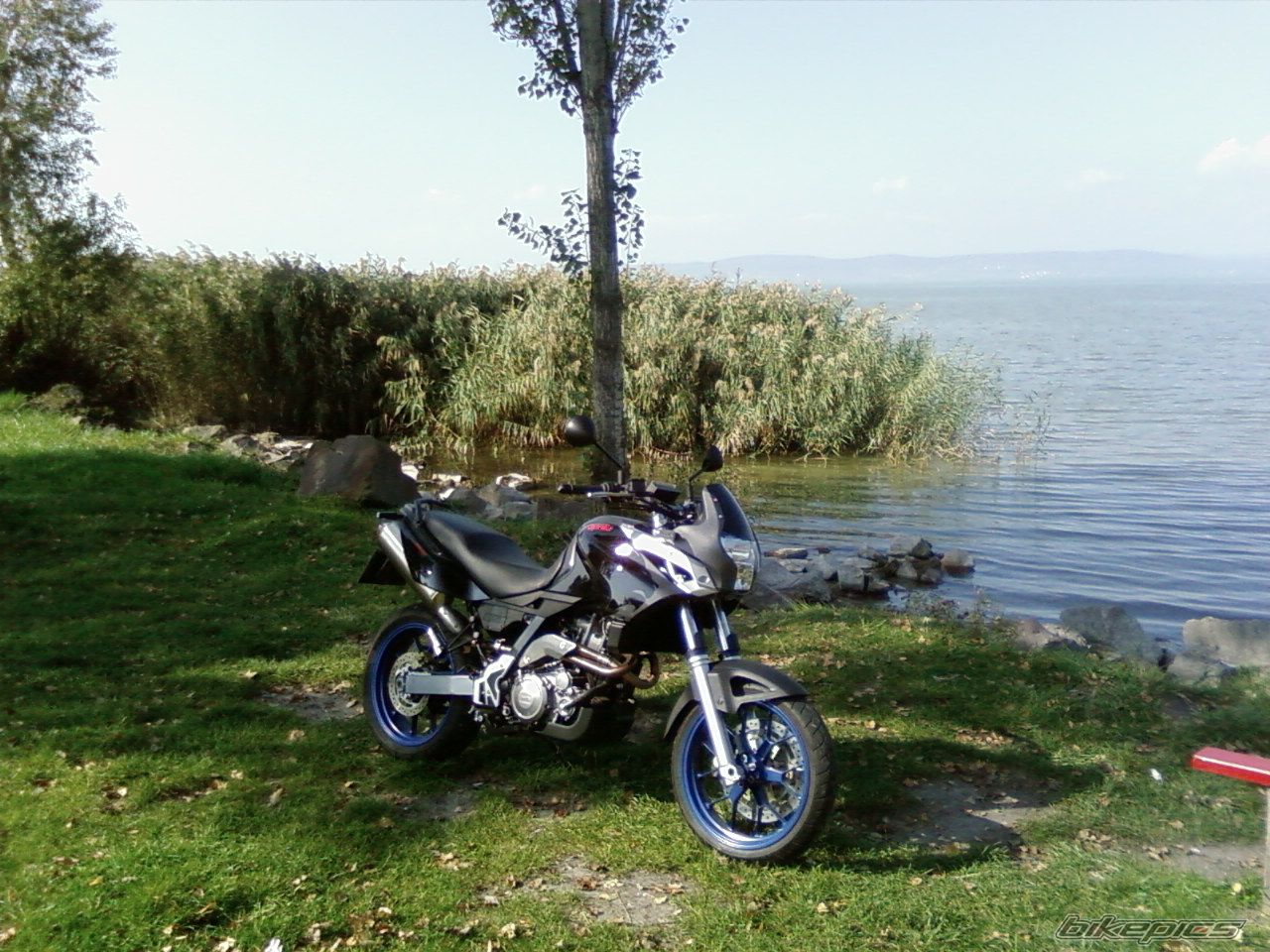 Photo 1137668