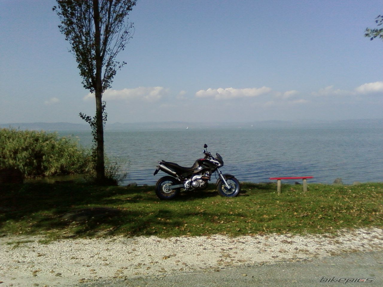 Bike Photo 1137669