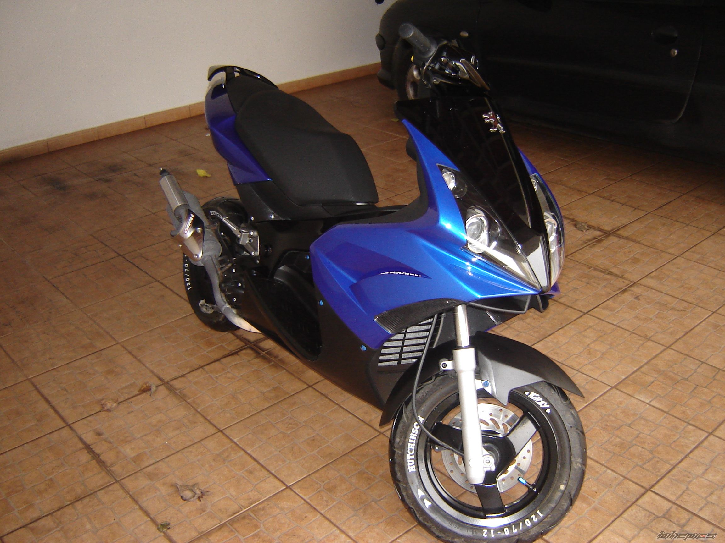 Photo 1137709