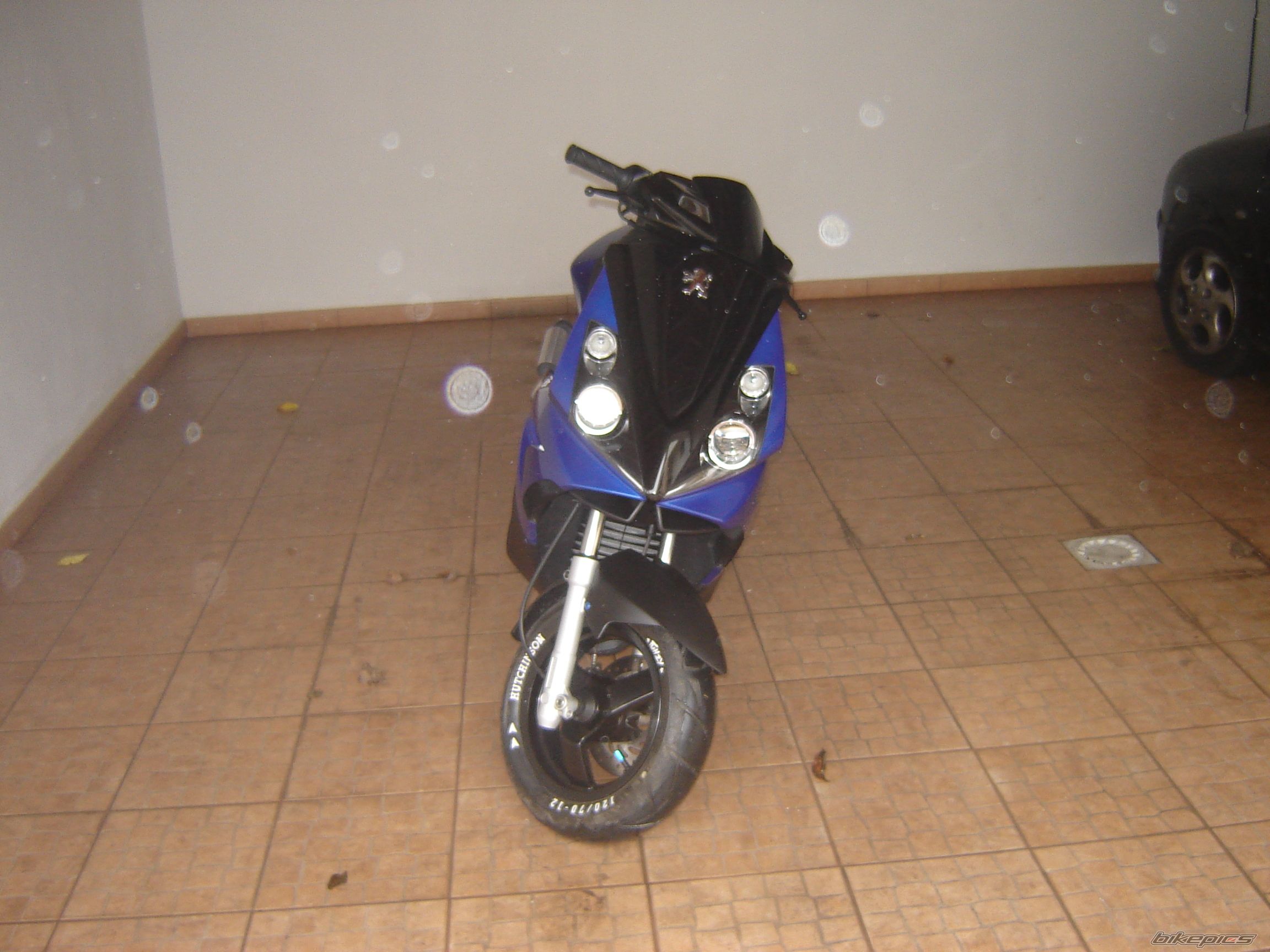 Photo 1137710