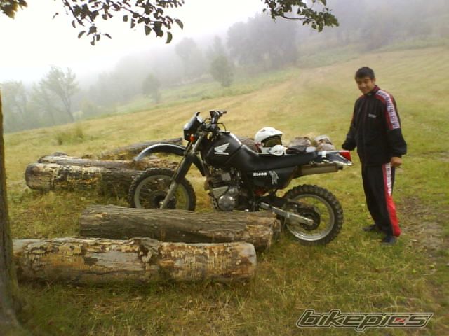Bike Photo 1137732