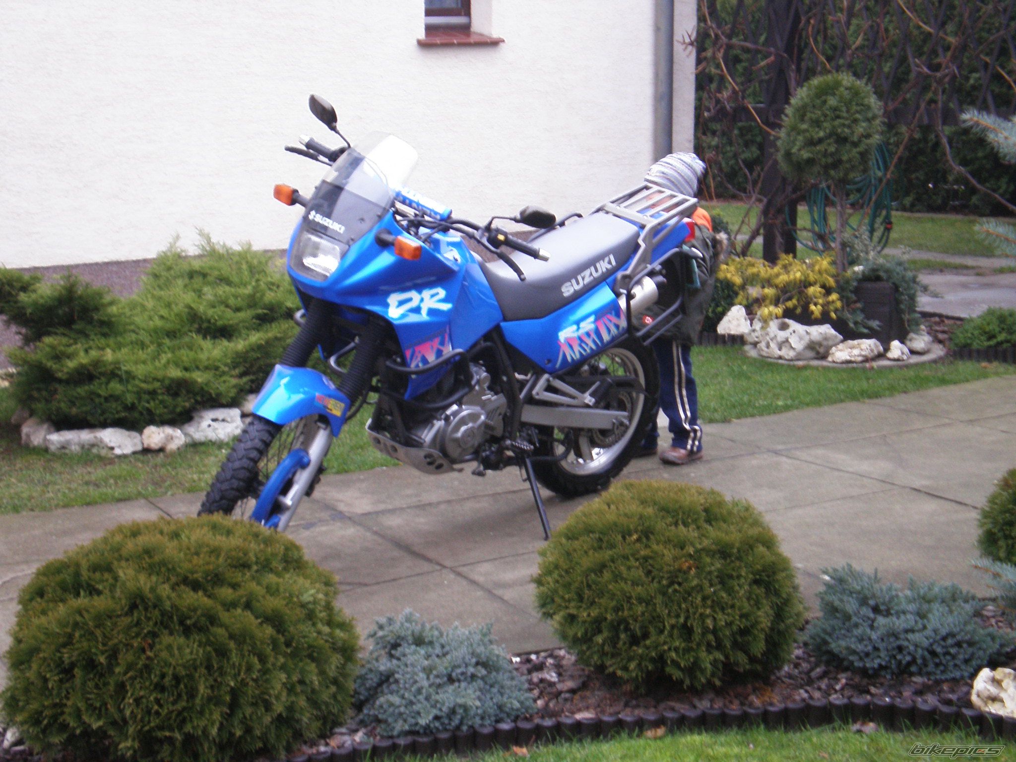 Photo 1137737