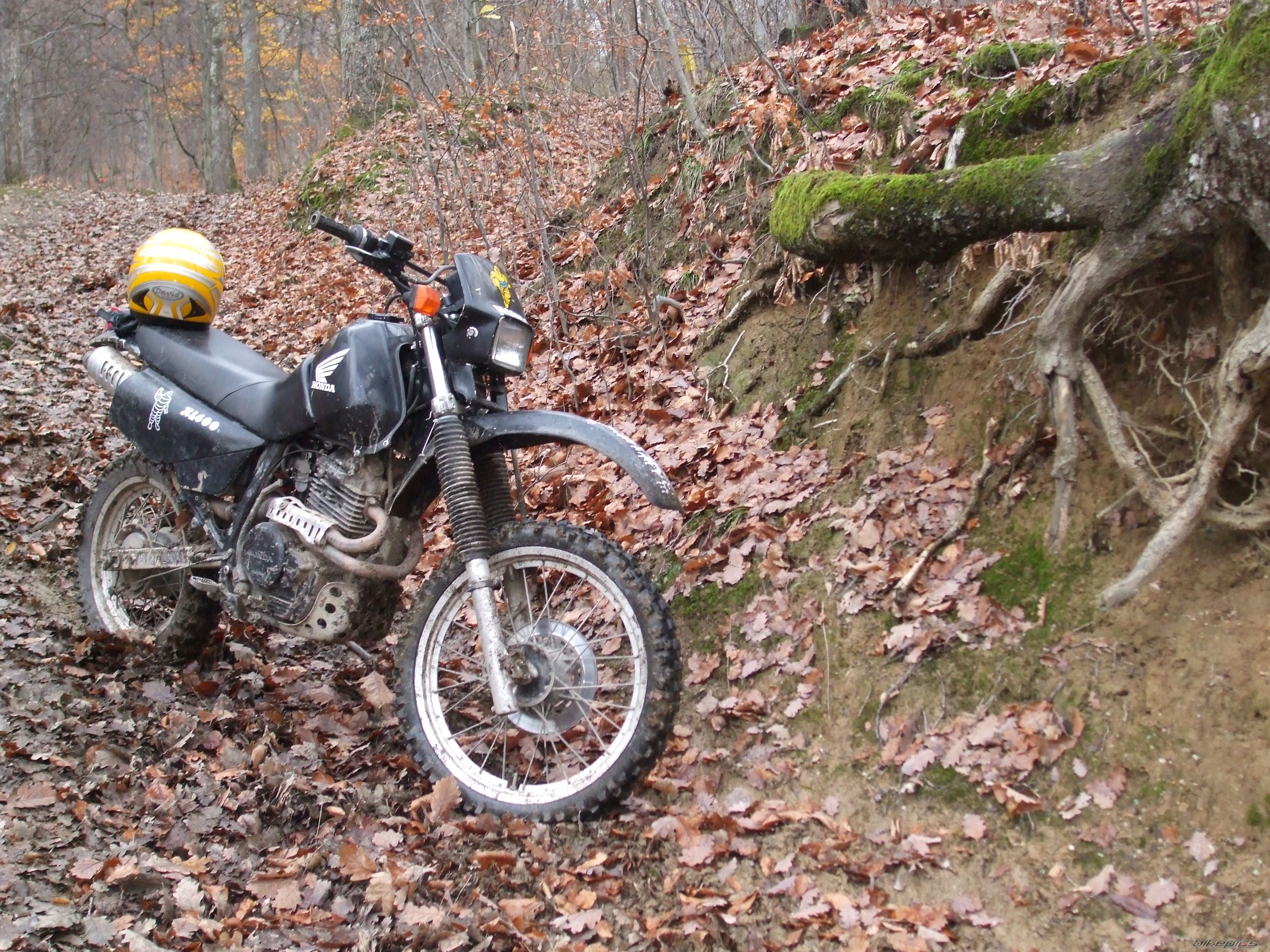 Photo 1137740