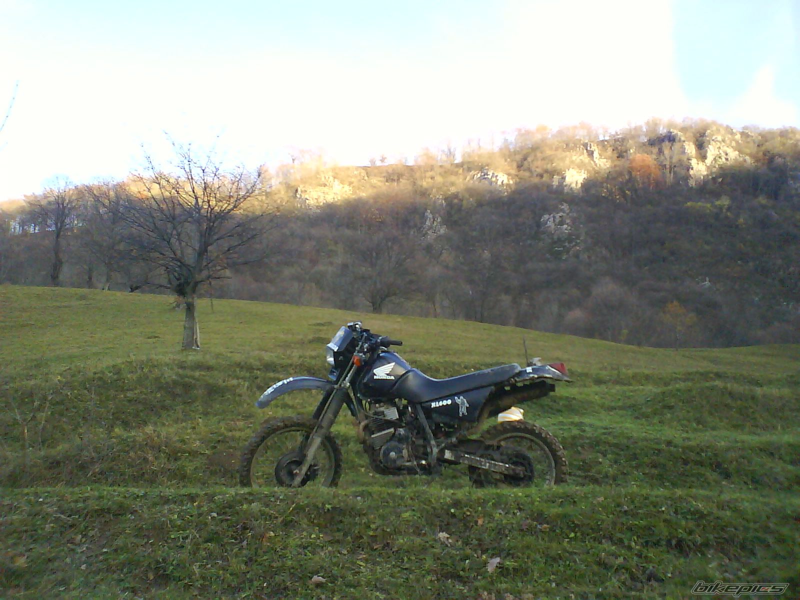 Photo 1137743