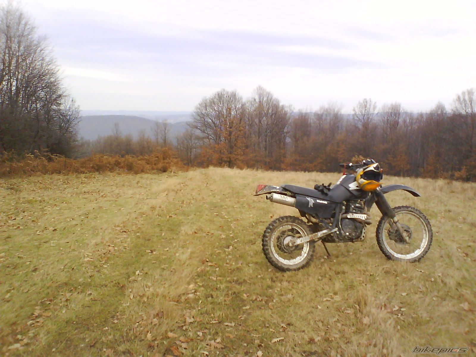 Photo 1137744