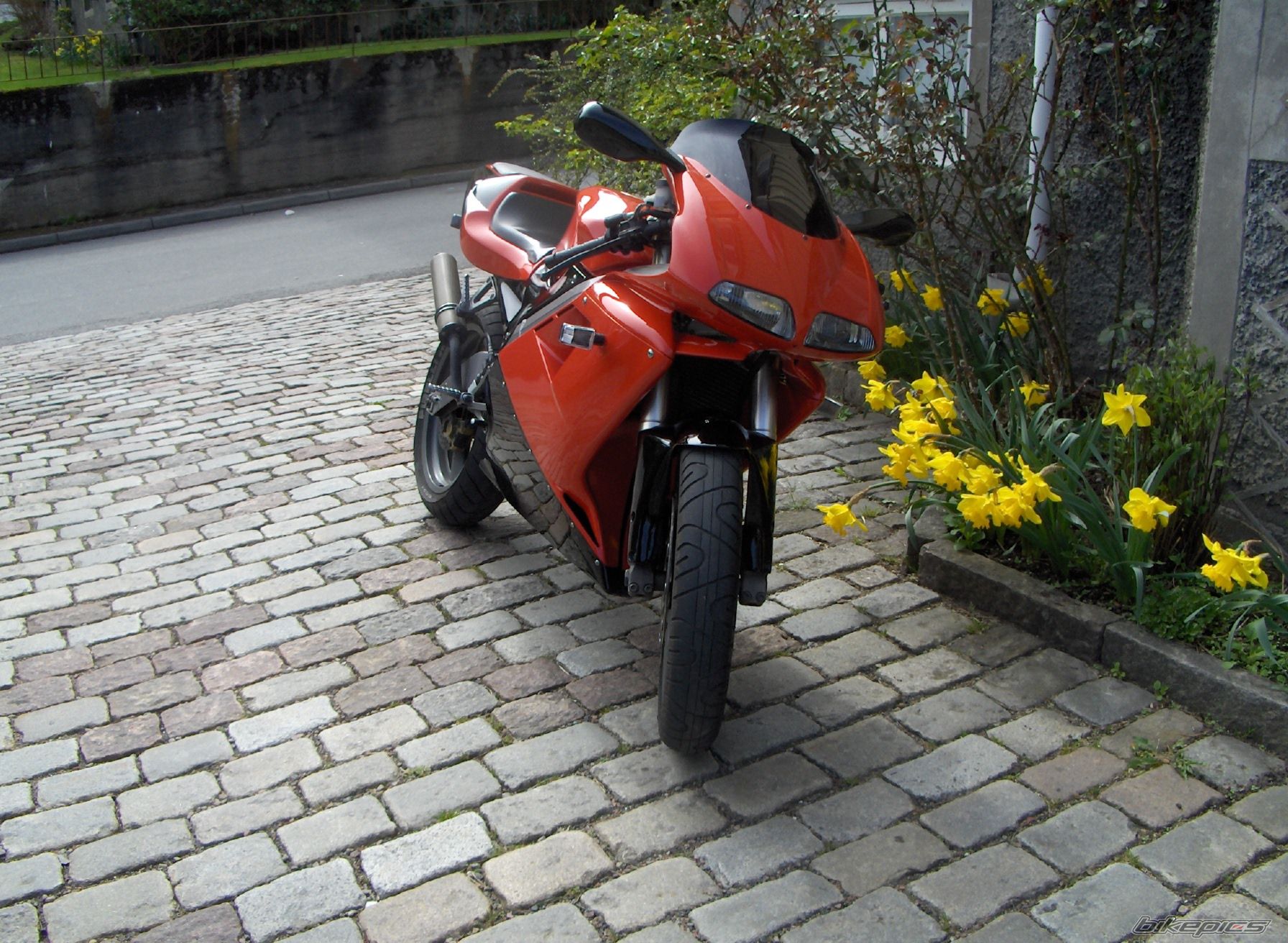 Bike Photo 1137784