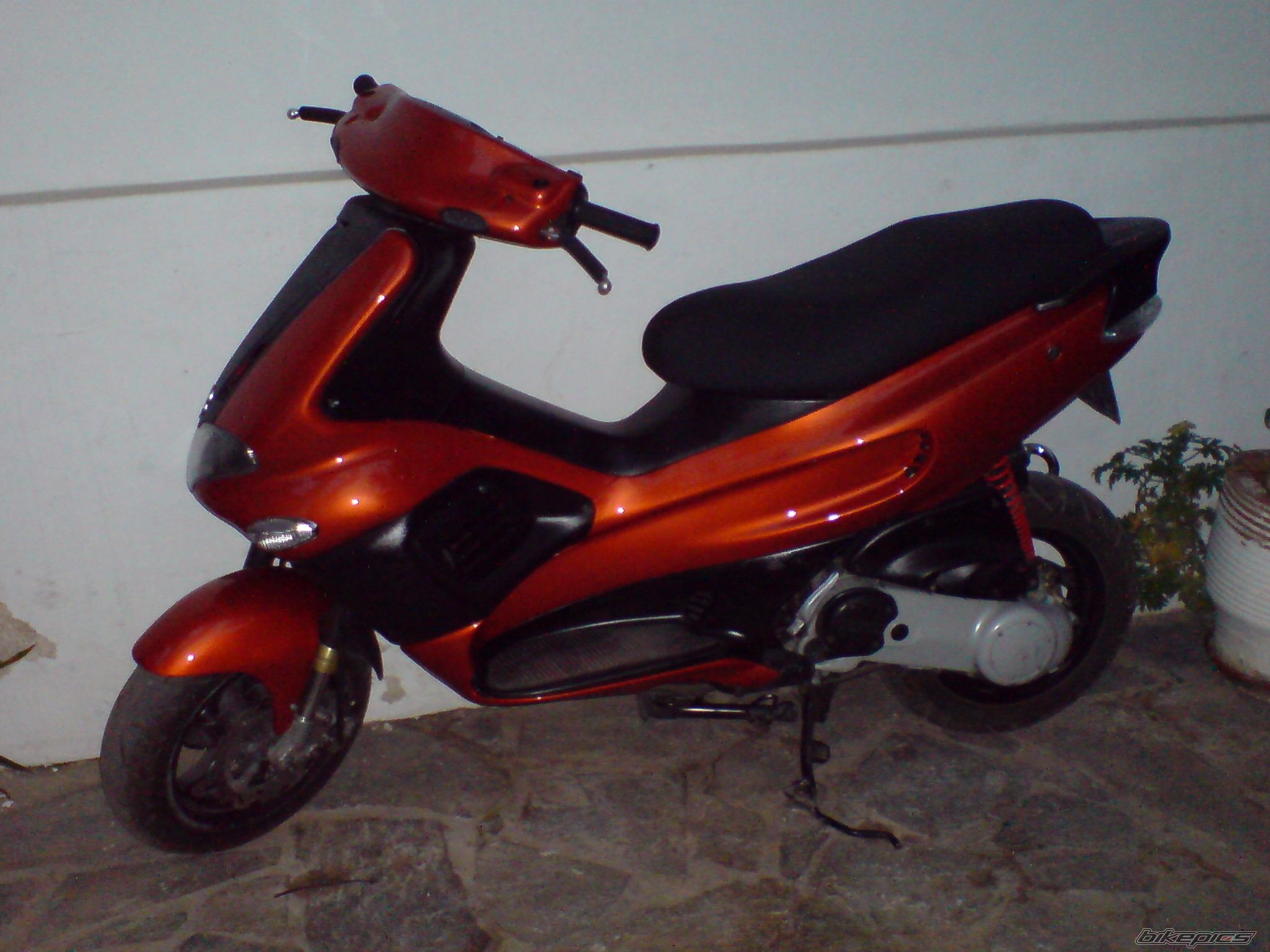 Photo 1137811