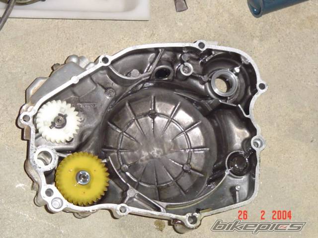 Photo 113782