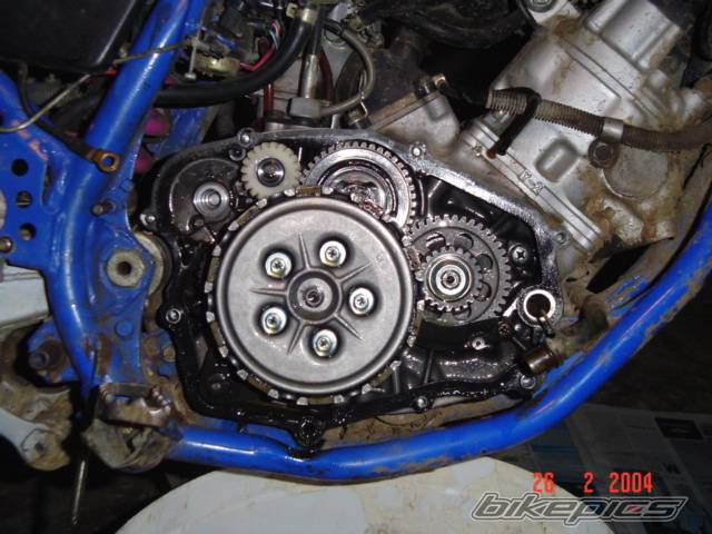 Photo 113783