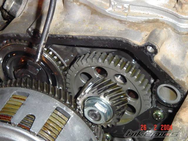 Photo 113785