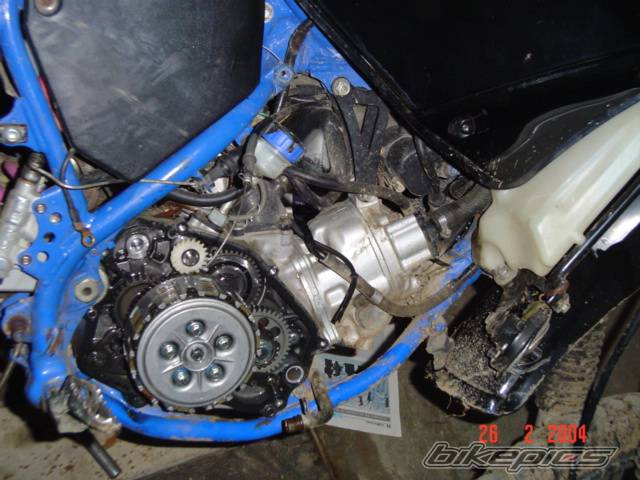 Photo 113786