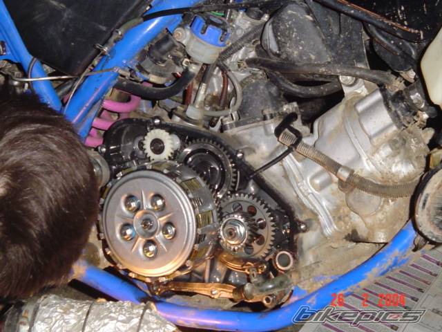 Photo 113787