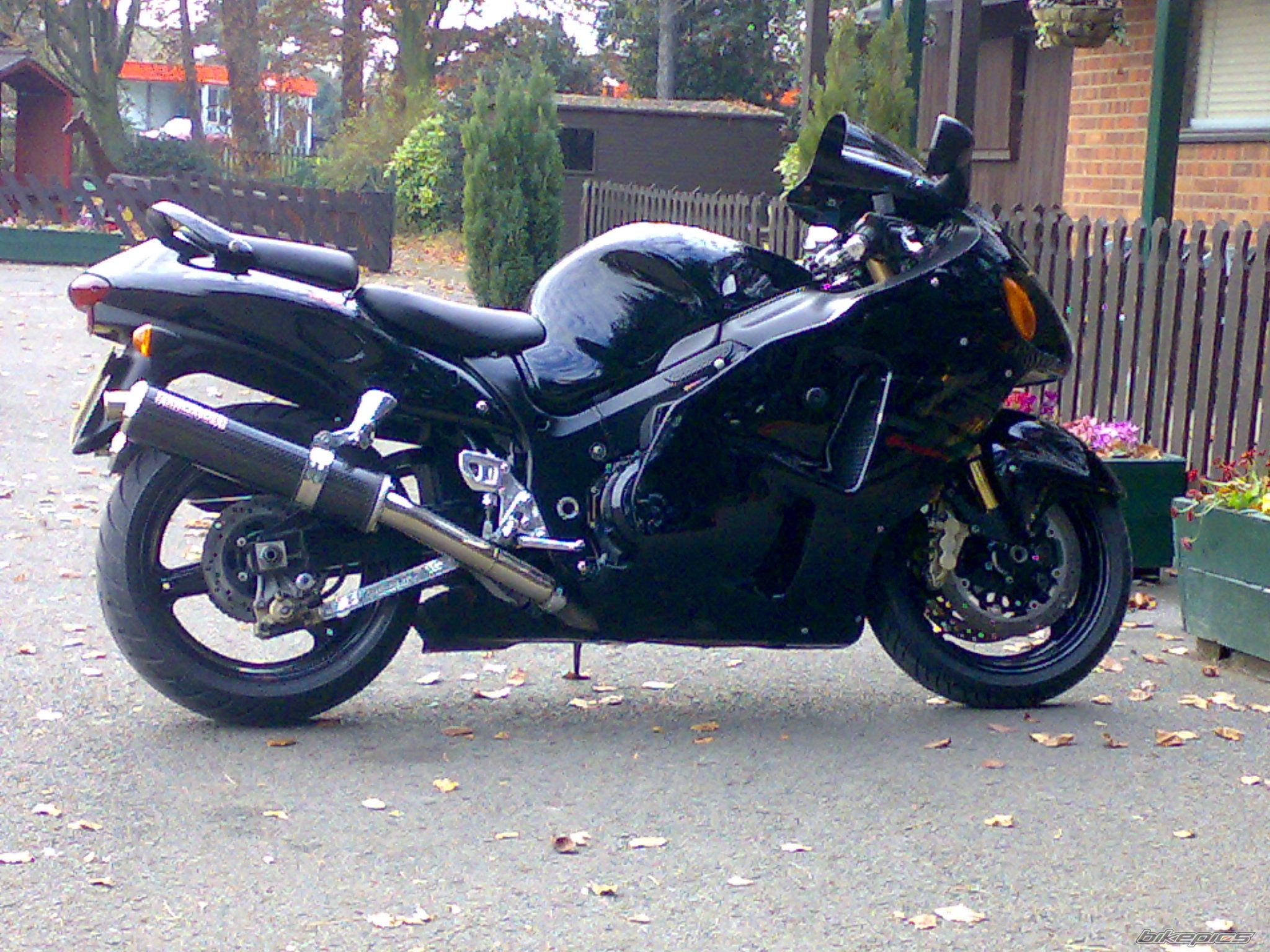 Photo 1137873