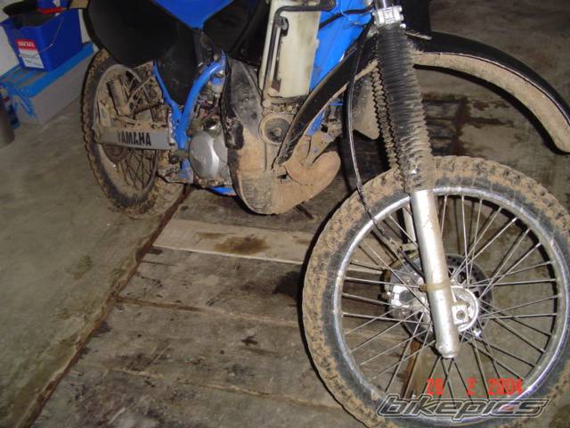 Photo 113789