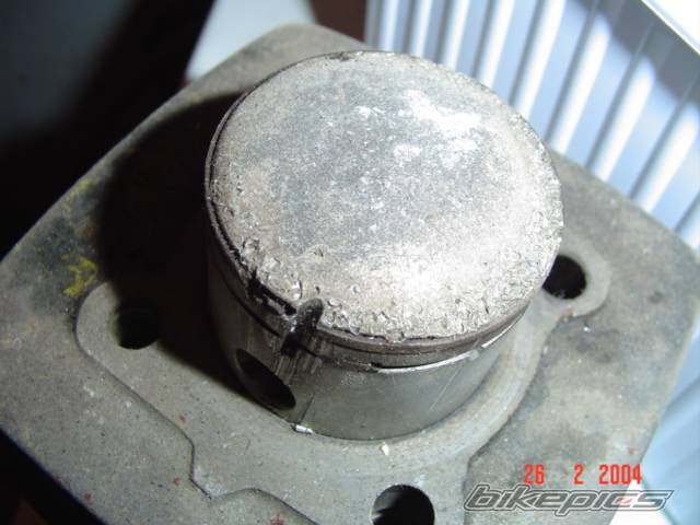 Photo 113791